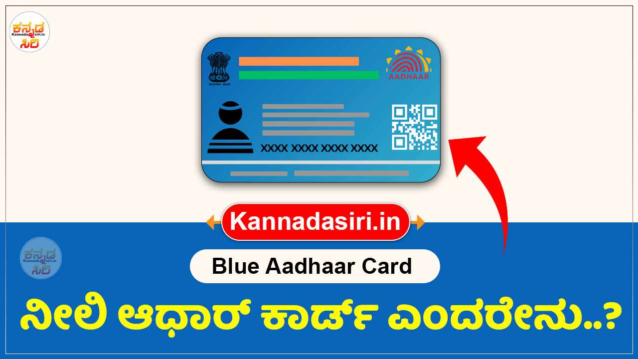 Blue Aadhaar Card